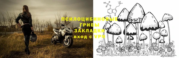мяу мяу мука Армянск